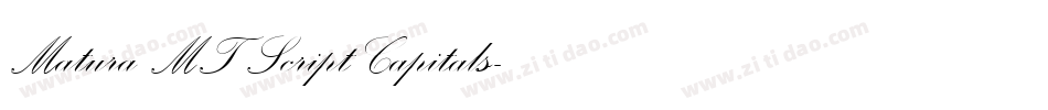 Matura MT Script Capitals字体转换